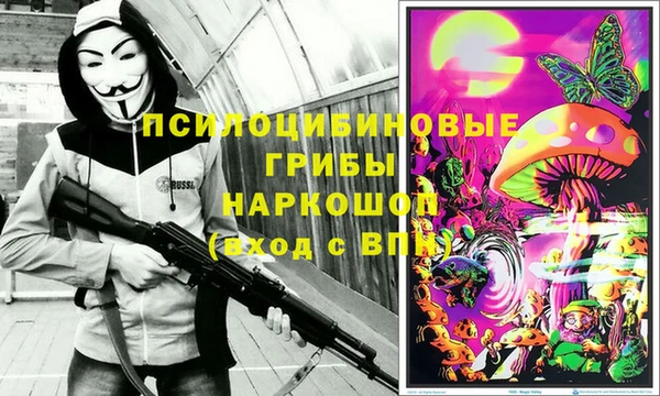 а пвп мука Алзамай