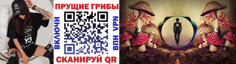 Галлюциногенные грибы мухоморы  Томмот 